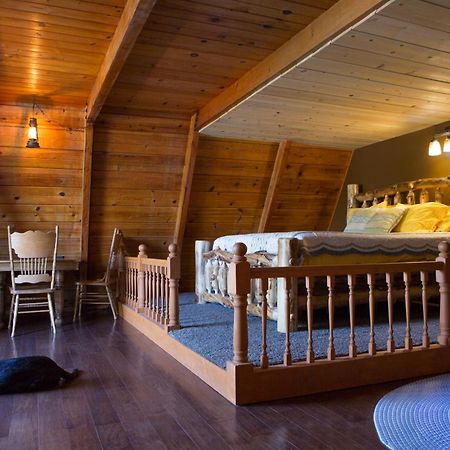 Hicksville Pines Chalets&Motel Idyllwild Buitenkant foto